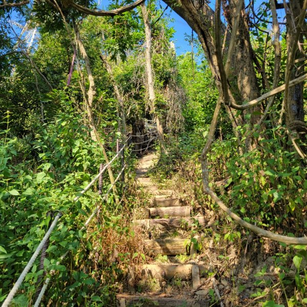 烏山嶺水利古道2359143