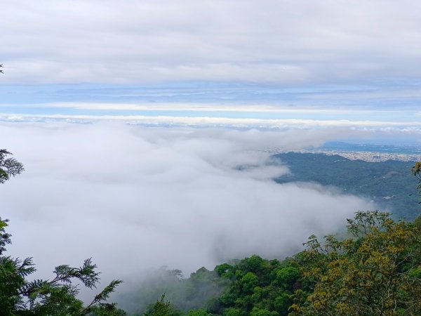 大坑頭嵙山出大景（山嵐海）2144659