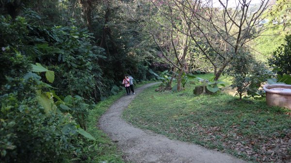 溪洲山登山健行趣(小百岳26號)2069698