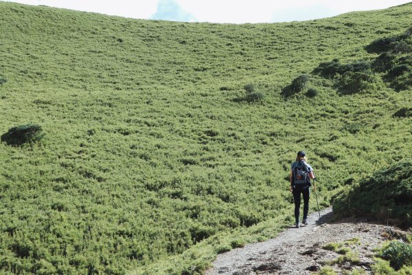 合歡北峰、小溪營地｜新手試煉場、老手耍廢975512