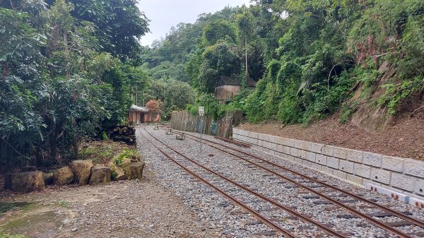 雲嘉九連峰1438972