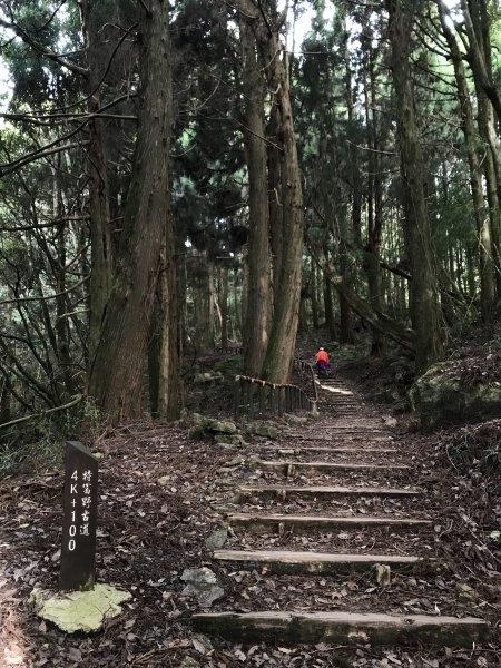 2019.12.21 特富野古道之旅799808