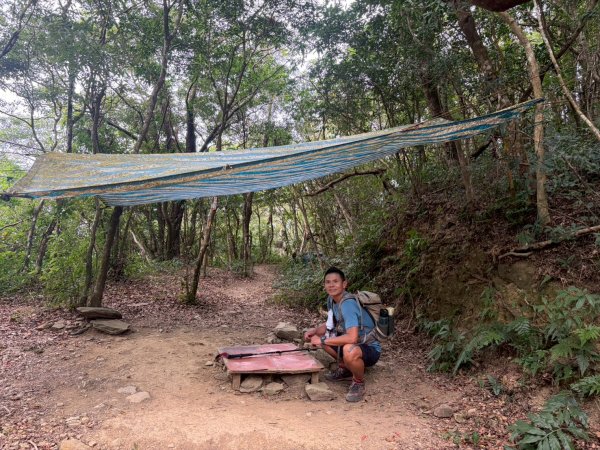 力里山【以產業道路為中央伍 散開】3000043
