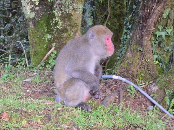 南玉山之行2822748