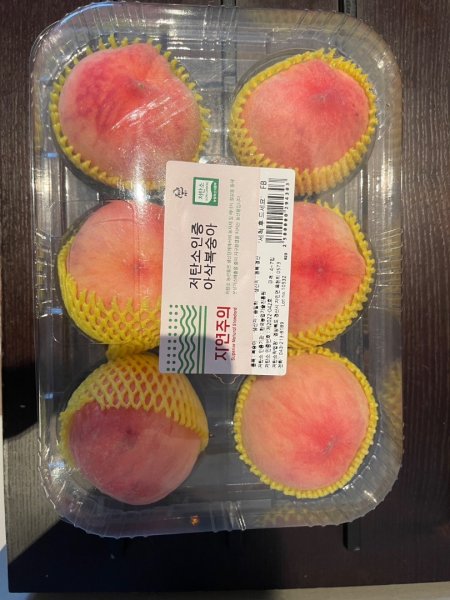 1140811 KR 漢拏山杜鵑花田避難所-紗羅岳觀景臺2860586