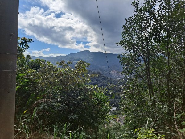 20240131瑞芳四秀：白象山→秀崎山→瑞芳山→龍潭山2443802