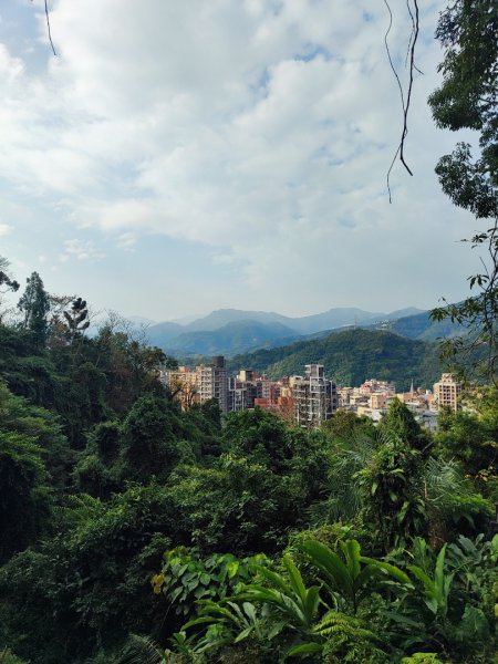 新店到貓空10K（台北天際線1部份路段）2993609