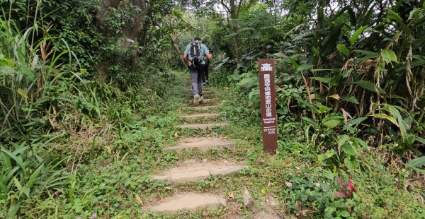 圓通寺烘爐地登山步道大O走3007032