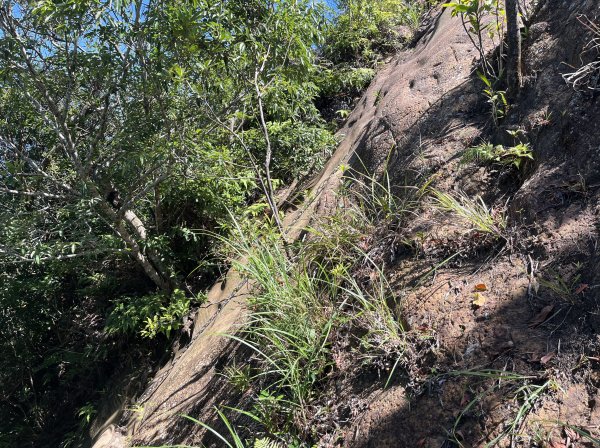 [微笑山線_第九段] 2025_0914 二格山系_天王峰2889553