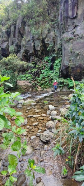 劍龍稜初體驗2431365