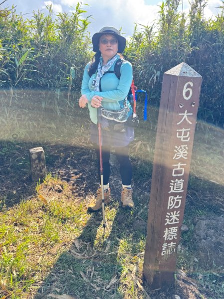 小觀音西峰 二子坪步道 小油坑山3129478