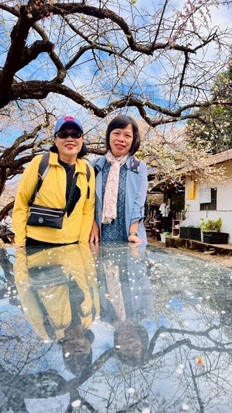 🌈1/17（六）蔡家古厝賞梅×梅子夢工廠×車埕老街✨FB：熊熊趴爬走🌈2983932