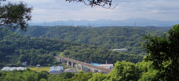 2025/08/03_羊稠森林步道2850664