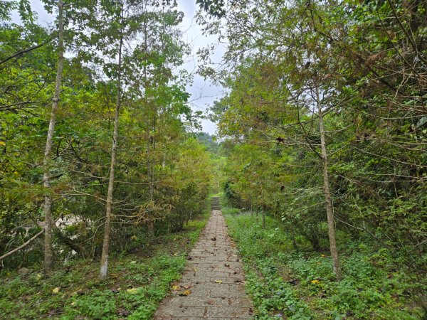 四十二份坪步道3127348