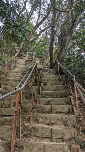 大坑 南觀音山2003441