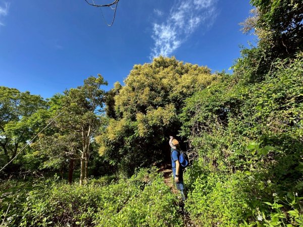 20250417小百岳🤣烏山 刣牛湖山縱走2764708