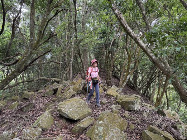 白毛山O繞+臭頭山 202505172791753
