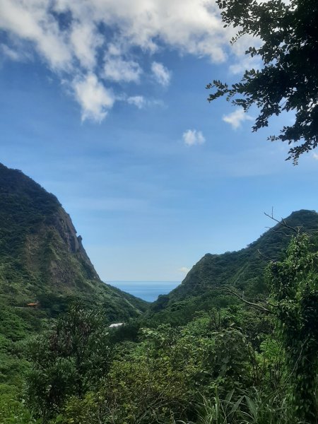 金瓜石，與奈良美智的詩意邂逅2883185