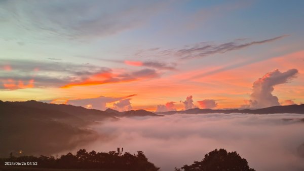 坪林趴趴走追雲趣 - 日出火燒雲雲海&觀音圈6/26 & 302535232