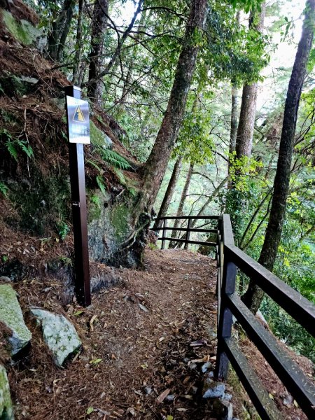 大雪山森林遊樂區森林浴步道2966028