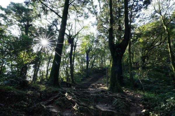 桃園-三峽 志繼山、東眼山、拉卡山、卡外山3005184