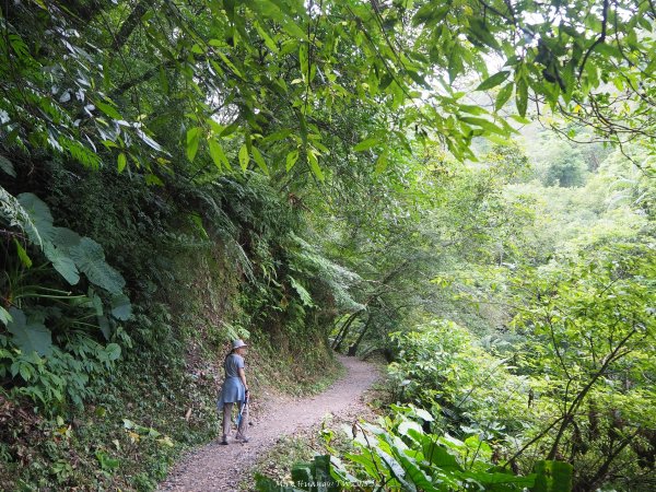 《宜蘭》小太魯閣｜礁溪林美石磐步道201805172889139