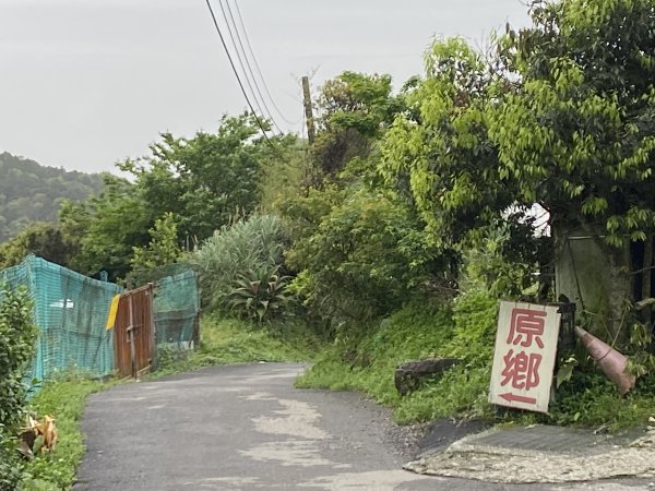 《走進竹子湖的清晨｜慢跑+美食＋泡湯享悠閒》2852681