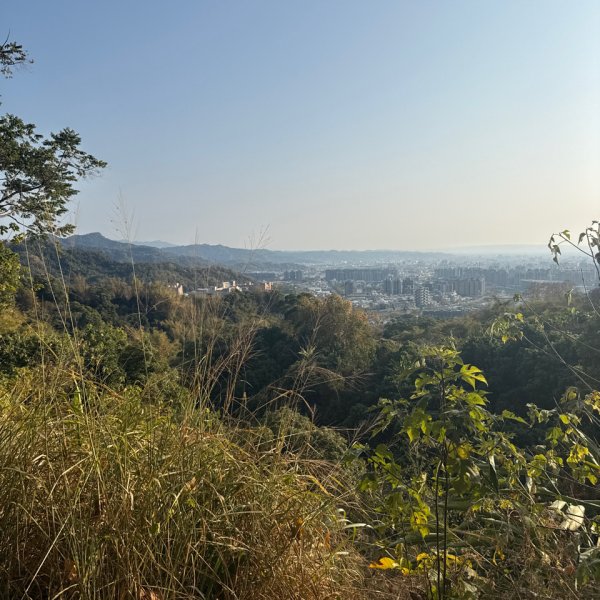 20260218 台中－臺灣百大必訪步道大坑9、10號步道3006437