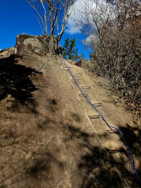 東卯山-谷關七雄(老五)2991604