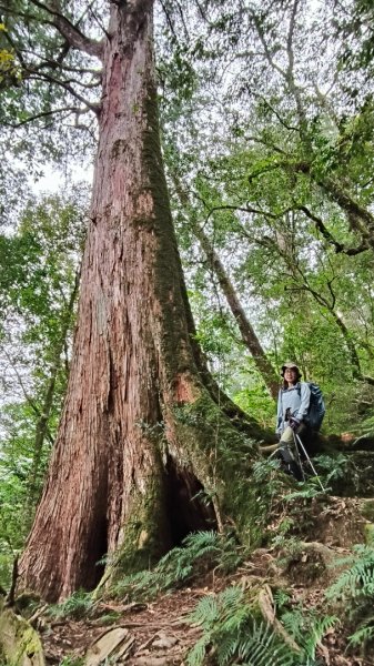 干卓萬群峰五天1141001~052906195