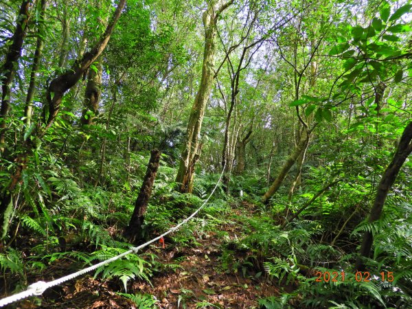 新北 雙溪 上內平林山、下內平林山1273150