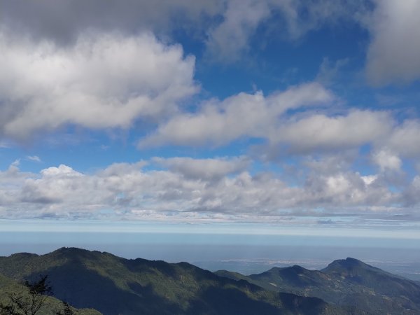 【新竹縣五峰鄉】檜山巨木森林步道2833696