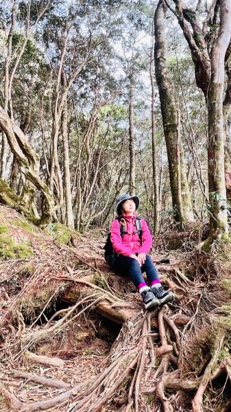 🌈12/18（三）魔法森林-塔曼山~網美打卡-巴陵鐵塔🌈2671882