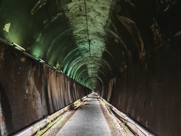 貓貍山公園，功維敘隧道1140932