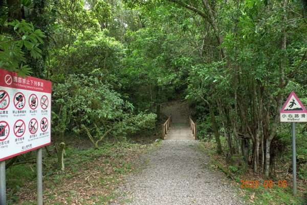 新北 烏來 福山植物園 - 哈盆越嶺步道 - 志良久山2241651
