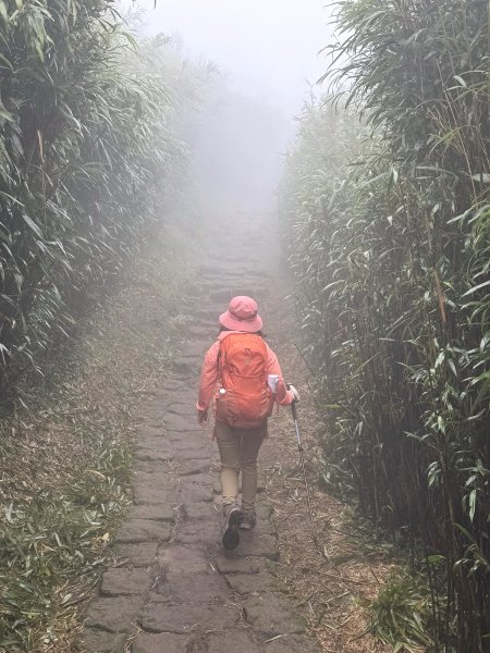 七星山 冷水坑上小油坑下環七星山人車分道O繞 202511082934896