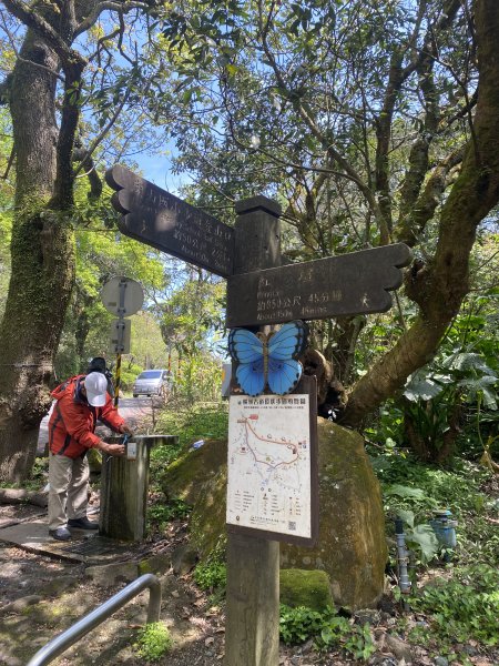 如墨暈染的春日邂逅｜中山樓墨染櫻 × 北投步道探花記2853893