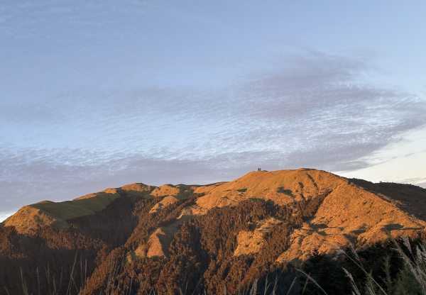 合歡北峰（3,422M）日出、銀河、大景、黃金合歡、夕陽
