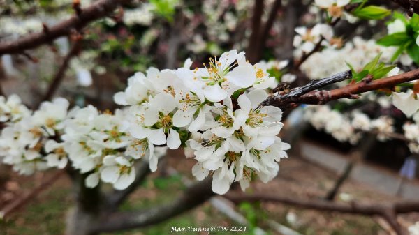 《彰化》花景第一排｜花壇虎山巖後山步道202402242436736