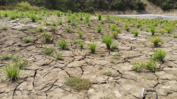泳渡進入大地谷957177