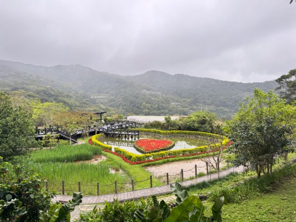 台北縱走第四段訪雙溪山 梅花山與西峰南峰西南峰 碧山