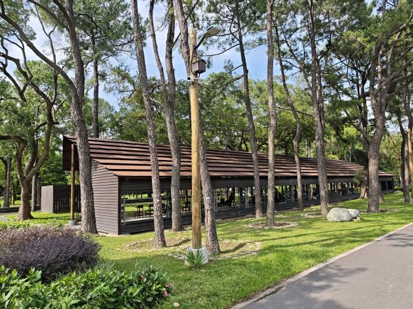 [霄裡好風光，運動樂悠遊！-6/10] 2025_0608 大湳森林公園2808210