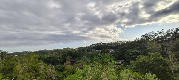 2025/01/04_鹿廚坑健行步道2683477