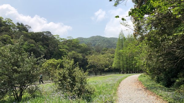 2019.04.07福山植物園1007097