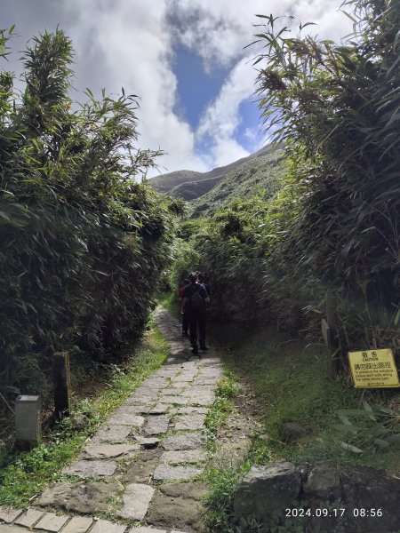 小油坑→七星山主峰、東峰→苗圃→陽明山前山公園【臺北大縱走 3】【走路趣尋寶】【臺北健走趣】2596102