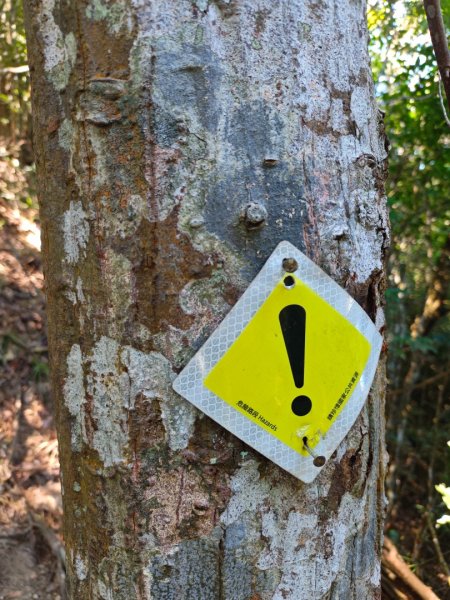 阿冷山 谷關第八雄2877399