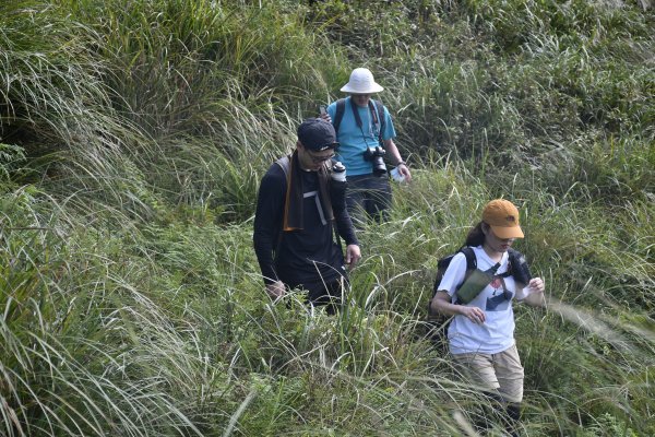 灣坑頭越嶺：吾居吾墅連走大嶺古道1491729