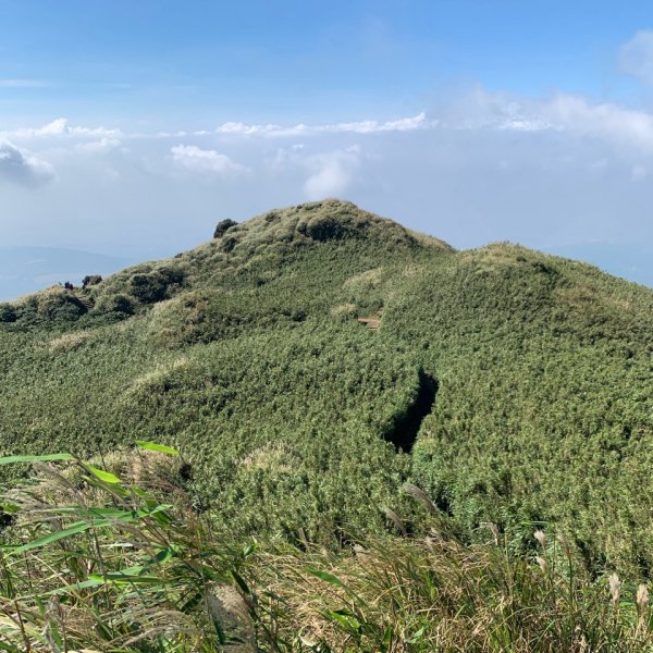 七星山主峰、東峰3124760