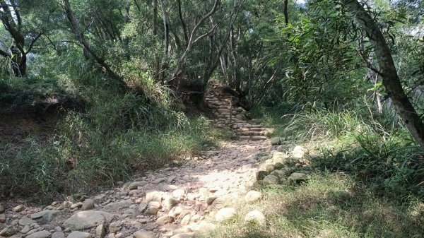 20251018 三義火炎山 南鞍古道 O型2920422