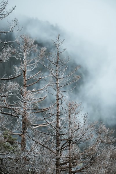 2021末的雪山初雪1523666